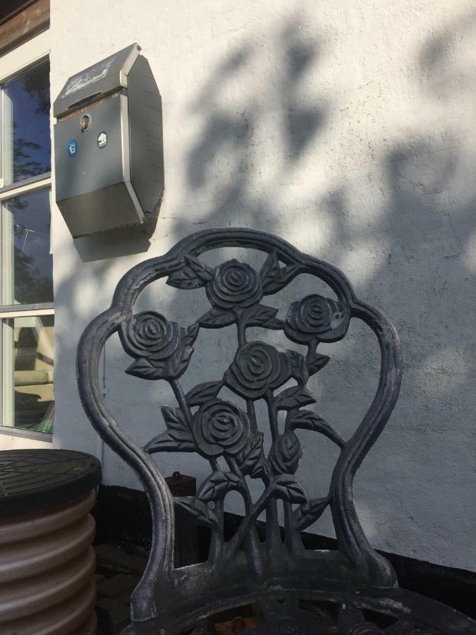 Rosenlund Bed & Breakfast Skovsgårde Buitenkant foto