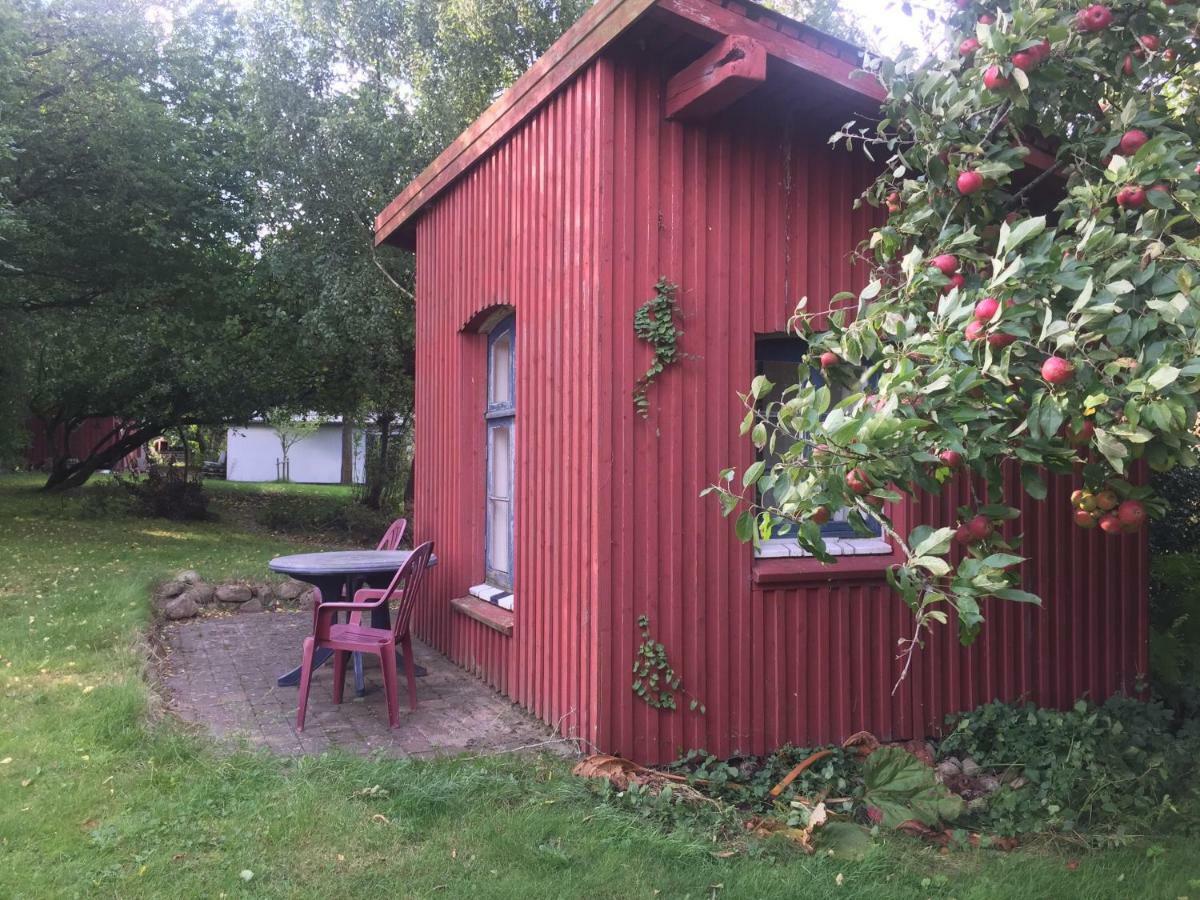 Rosenlund Bed & Breakfast Skovsgårde Buitenkant foto